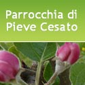 Parroccia di Pieve Cesato